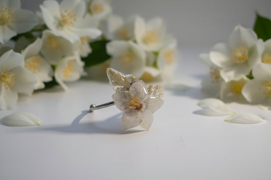 Jasmin