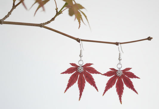 Acer