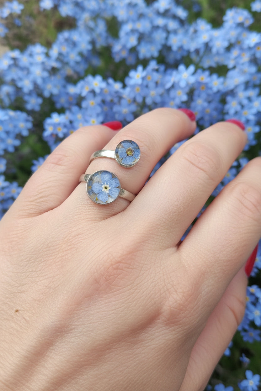 Myosotis3