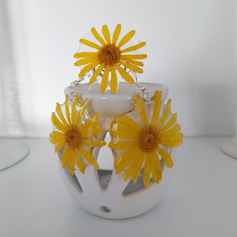 Arnica