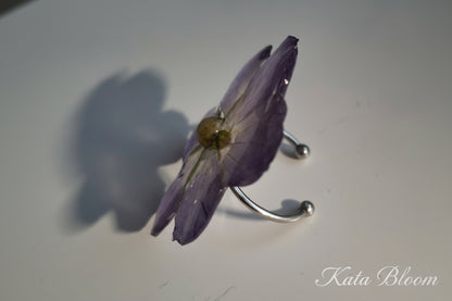 Geranium