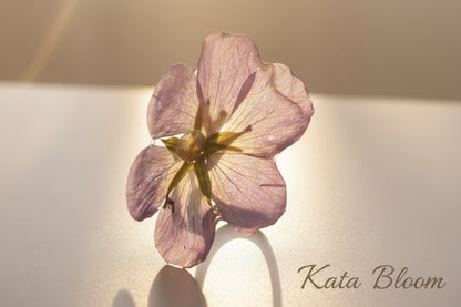 Geranium