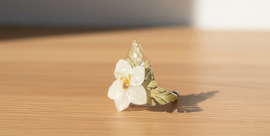 Jasmin