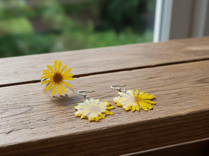 Arnica