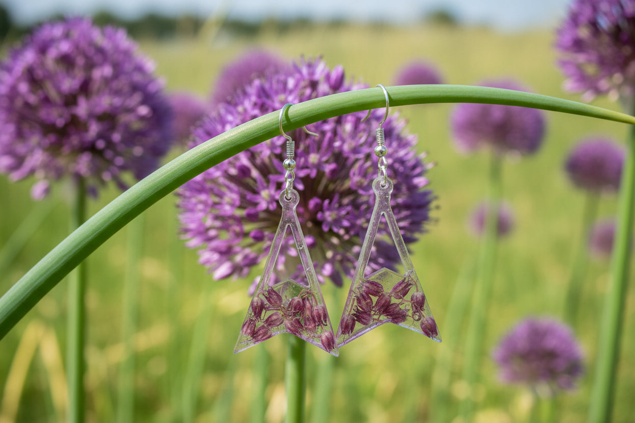 Allium 2