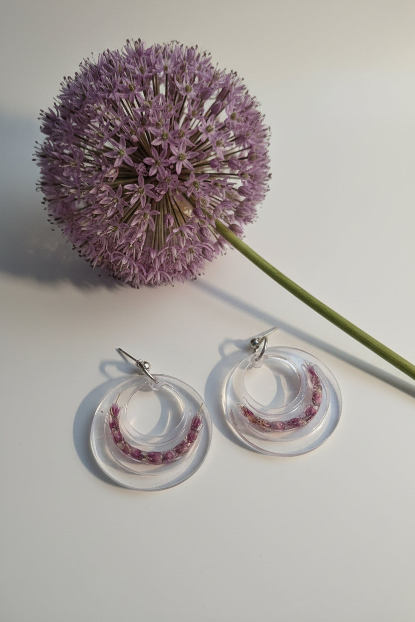 Allium 1