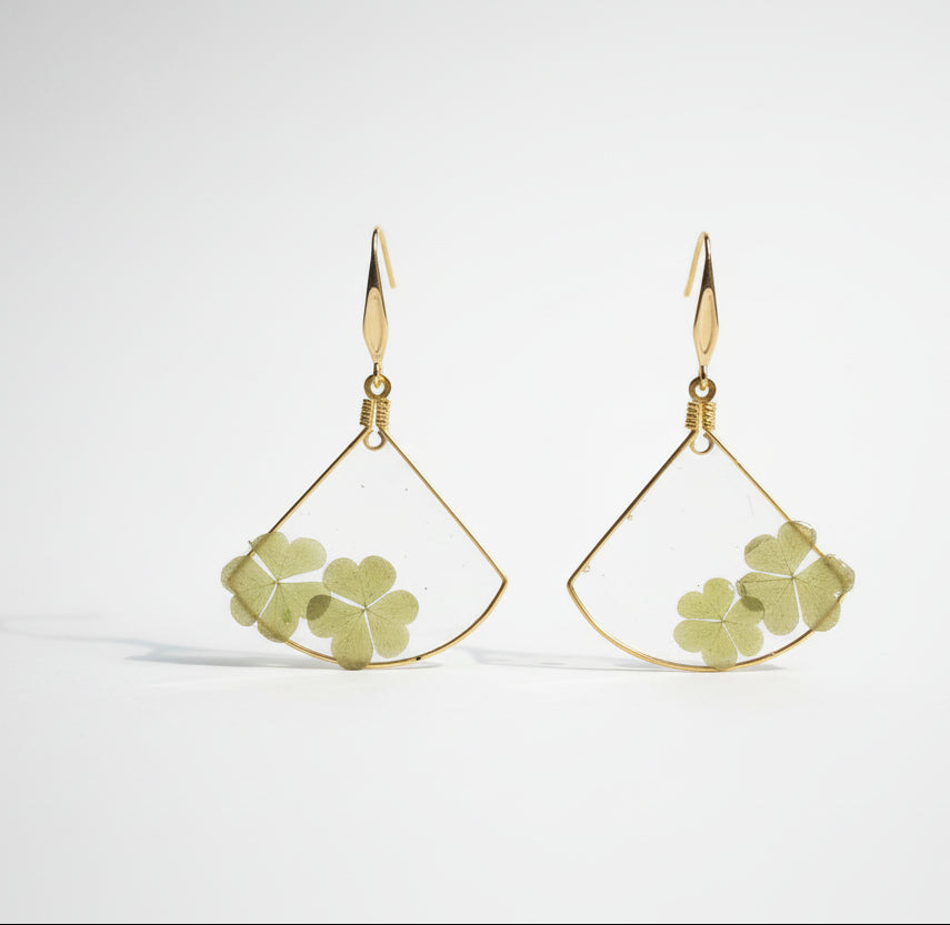 Marsilea