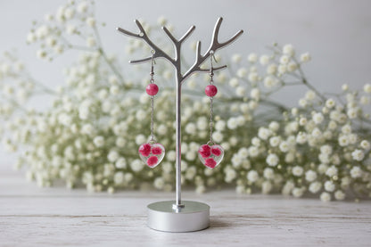 Gypsophila rosea