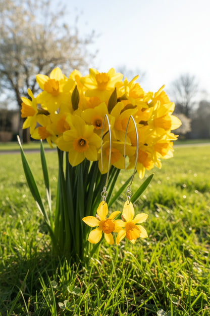 Narcissus