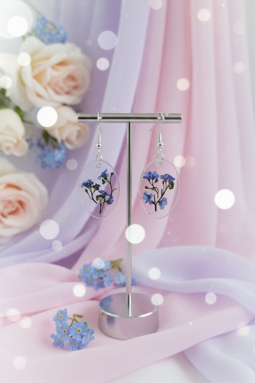 Myosotis