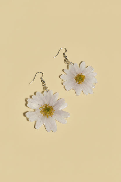 Helianthemum