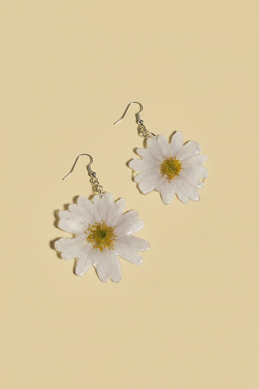 Helianthemum