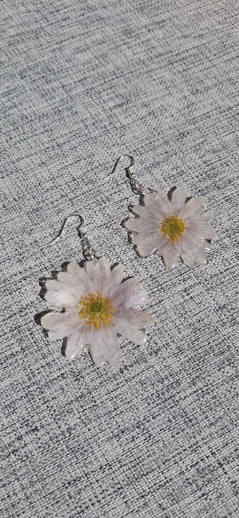 Helianthemum