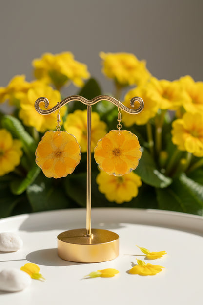 Primula1