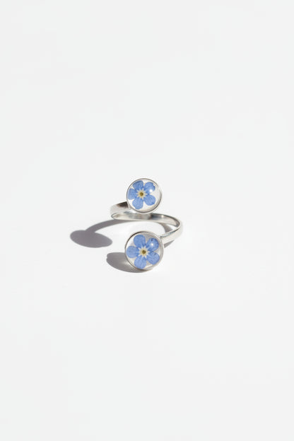 Myosotis3