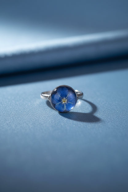 Myosotis2