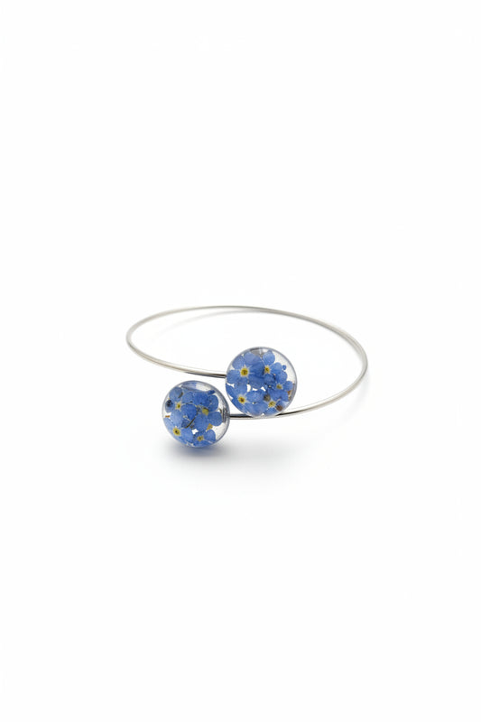 Myosotis1