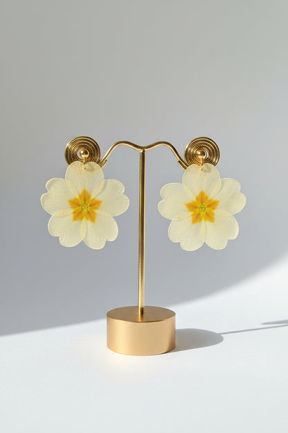 Primula veris