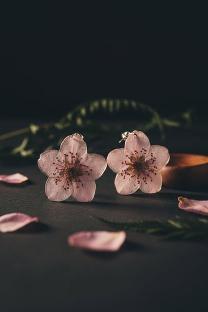 Prunus