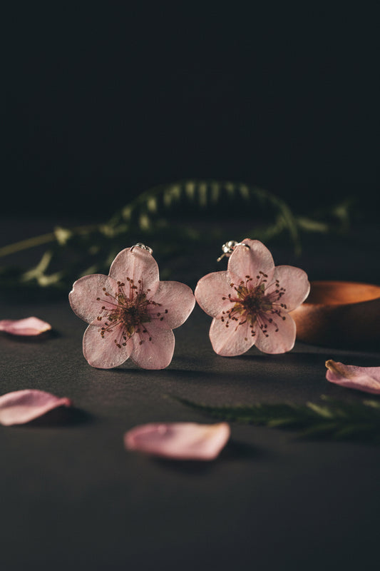 Prunus