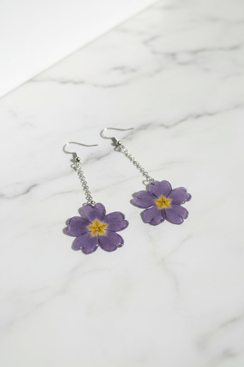 Primula mini