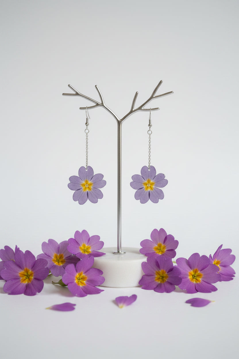 Primula mini