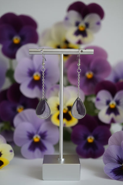 Viola