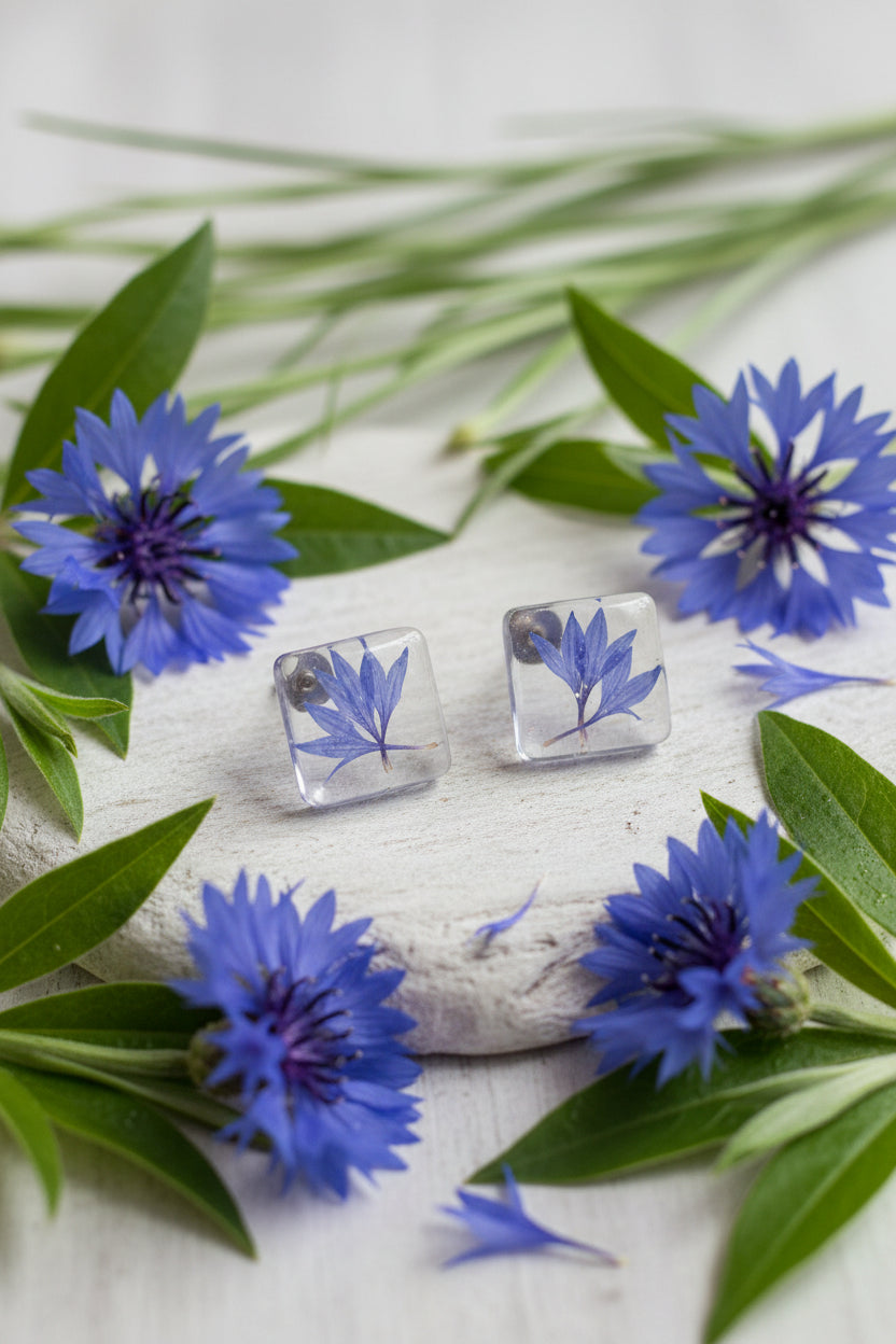 Centaurea I.