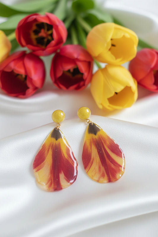 Tulipa