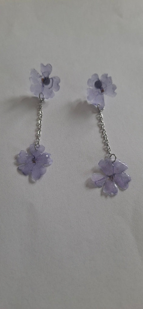 Phlox lila