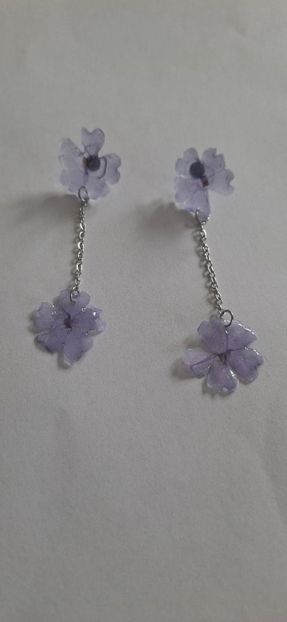 Phlox lila