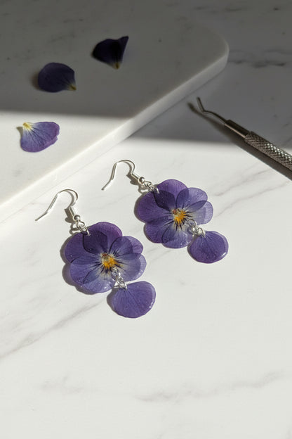 Viola lila