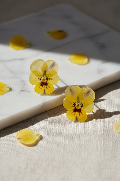 Viola wittrockiana I