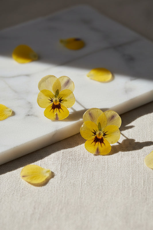Viola wittrockiana I