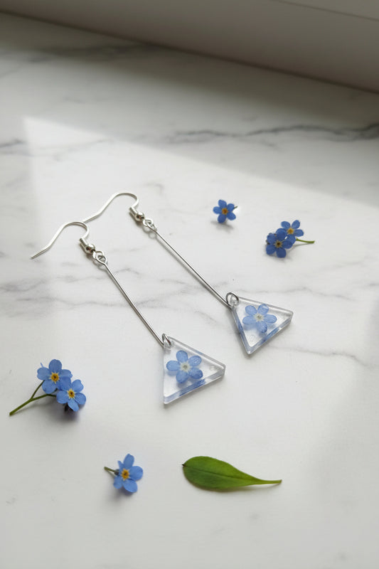 Myosotis