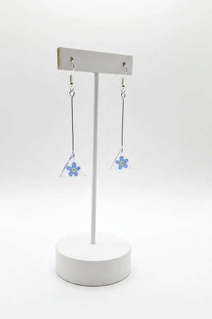 Myosotis