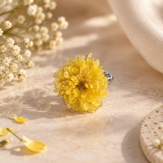 Chrysanthemum