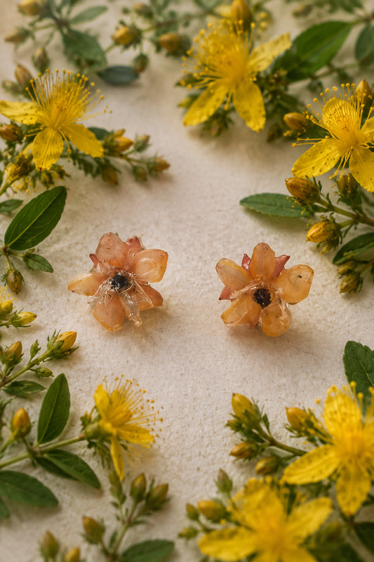 Hypericum