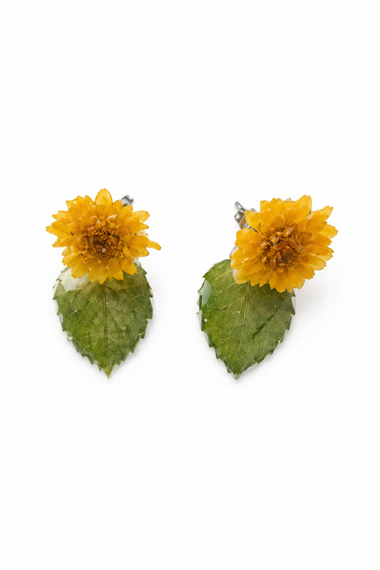Chrysanthem