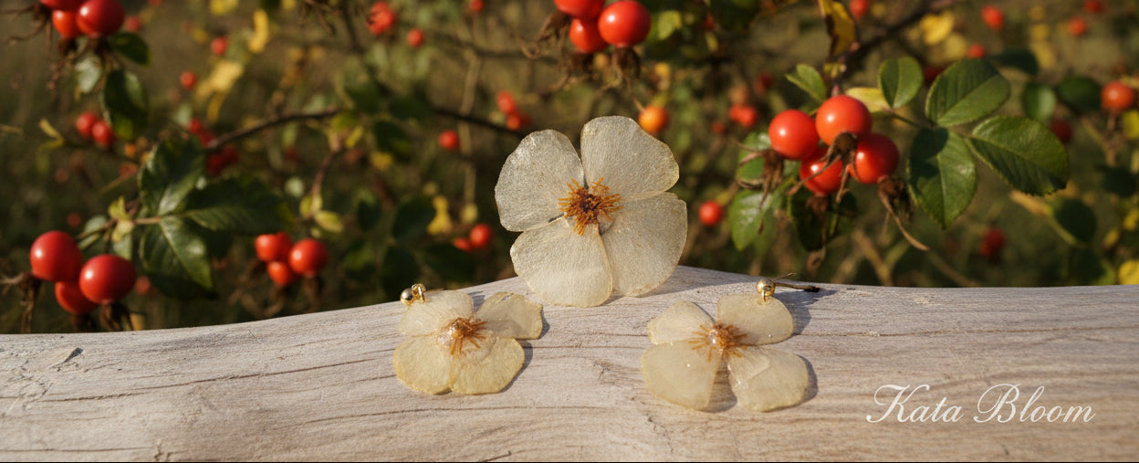Rosa Foetida