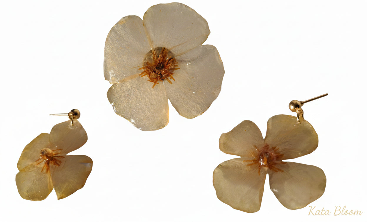 Rosa Foetida