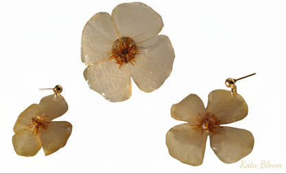 Rosa Foetida
